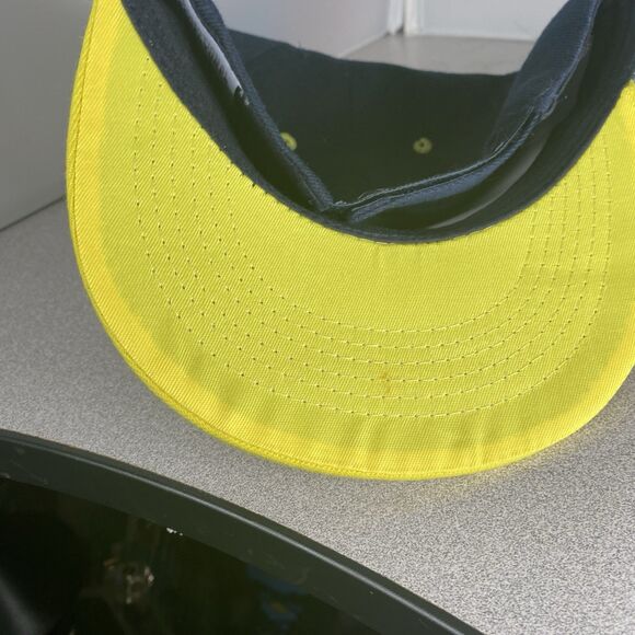 Lynchburg Hillcats Copa de la Diversi Hat Baseball Cap Skull Skeleton Strapback - Picture 4 of 6